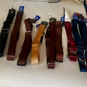 Dog collars brand new